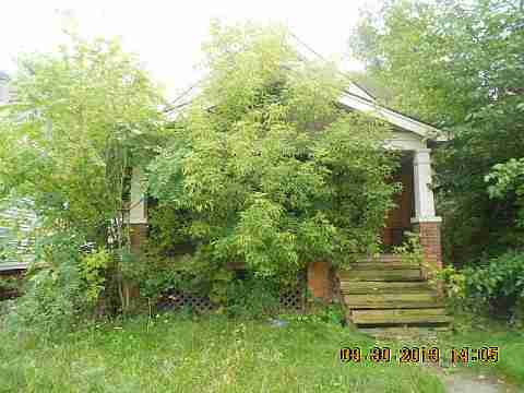 6637 Majestic (1)_m.jpg